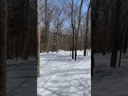 Thursday at Stowe. Unbelievable base even down low for April 17! #skiing #stowe #glades #skitheeast