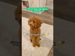When your dog celebrates Take Your Kids to Work Day a little too literally
