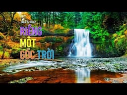 Nhạc & Hoa -- RIÊNG MỘT GÓC TRỜI - Ns  Ngô Thụy Miên  5-2025