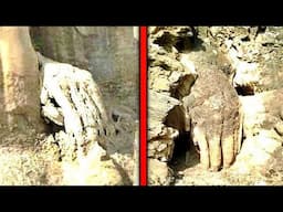 This Discovery in the GRAND CANYON Frightened All Scientists! Top 10