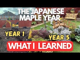 Japanese Maples: Year 1-5 what I learned