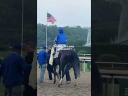 Sovereignty wins the Belmont Stakes!