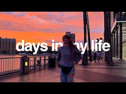 weekend trip to tampa // lately