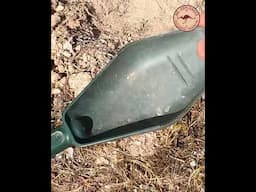 Axiom Gold Rush 5! Three Bits off the Collar! #shorts  #metaldetecting #garrettmetaldetectors