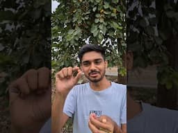 Lasoda Fruit #shorts