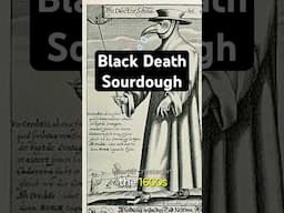Identifying the bacteria in Black Death Sourdough. #sourdough #bacteria #foryou #blackdeath