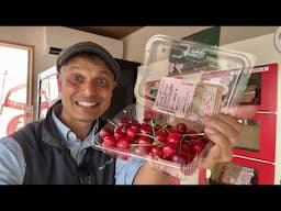 Japanese Cherry Vending Machine 🍒