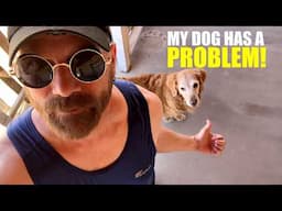 1979 Disco Riot, Ukelele Rage, & My Dog's Obsession | Vlog 19