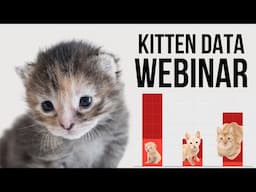 Webinar: Kitten Data Insights for Animal Welfare Professionals