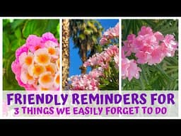 FRIENDLY REMINDERS for 3 THINGS WE EASILY FORGET TO  DO