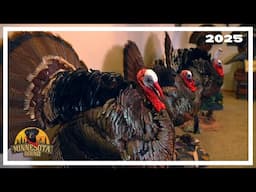 Gary's Turkeys | Minnesota Bound