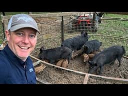 Trapped 100 WILD HOGS on 2 farms. Visual PROOF how fast hogs REPRODUCE.