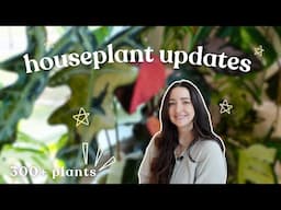 Houseplant Update Walkthrough My Collection 🌿