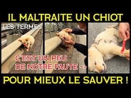 Les BONS SAMARITAINS du Net - LES TERMES