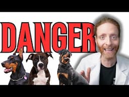 Should We Fight the Ban on Pit Bulls and Other Dangerous Breeds