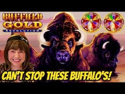IT'S RAINING BUFFALO'S!