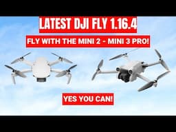dji fly app 1.16.4 - MINI 2 - MINI 3 PRO