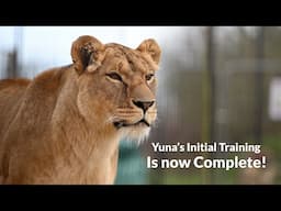 Yuna’s initial training is complete, now she’s ready for the big move! 🍃