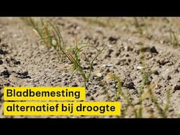 Bladbemesting alternatief tijdens onder andere droogte