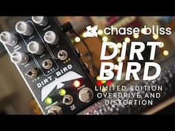 Is the Hype Real? Chase Bliss Dirt Bird Limited Mystery Box Edition Overdrive Distortion