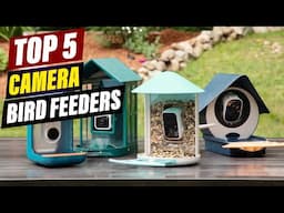 Top 5 Smart Bird Feeders with Cameras: Reviews & Comparisons