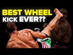 Learn The Biomechanics Of Barboza's INSANE Wheel Kick