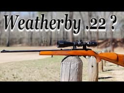 Weatherby Mark 22 Semi-Automatic Rifle Review: Accuracy, Performance & Value