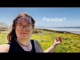 I finally found sunshine (plus sand + waves!) | living in my van in California #vanlife #dog #beach