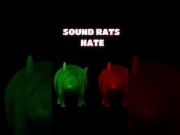 Sound Rats Hate | Ultrasonic Rat Repellent | High-Frequency Sound to Keep Rats Away