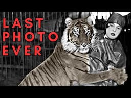 Last Photos of Extinct Species - Part 2