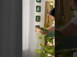 Amazed by this Jugaad #shorts