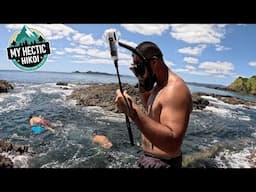 Weekend diving fishing and Manus | Beautiful Bay of Islands (Kororareka) NZ