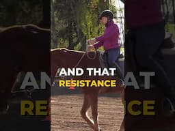 Paula Curtis presenting: Give The Outside Rein
