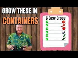 Container Gardening Made Easy – Tomatoes, Chillies, Aubergines And More