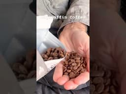 Insanely Light Roast Coffee