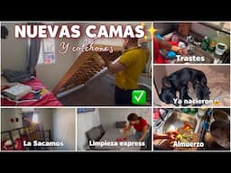 NUEVA COMPRA✔️para el HOGAR🏡camas nuevas🛌y colchones✨/ya NACIERON los bebes😱🤰🐾/limpieza expres🧹🧽