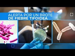 Alerta por brote de fiebre tifoidea en Ciudadela: 10 casos confirmados