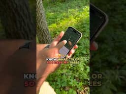 Natural Candy = Better Deer Hunting Find The Acorns #hunting #deerhunting #bowhunting #deerseason
