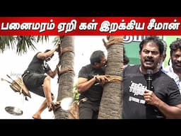 💪தடை அதை உடை🤬🔥 சீமான் தெறி பேச்சு Seeman Panai Maram🌴🌴 Seeman Speech latest news today Seeman live