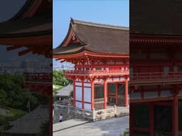 (春夏秋冬)京都・清水寺の四季風景その1[4seasons in kyoto] #kyoto #kiyomizudera  #japan