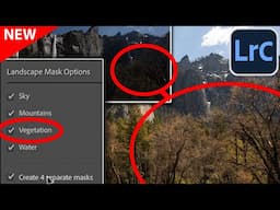 NEW Lightroom + ACR Auto LANDSCAPE Masks