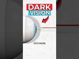 Scientists Create Contact Lens To See In the Dark