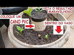 Coloque um cano de pvc dentro do vaso e veja o Resultado Maravilhoso!