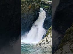 Wynoochee Falls #wynoocheefalls #wynoocheelake #olympicnationalforest #Forest #waterfall #river