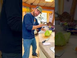What? I’m Cooking! #funny #hilarious #cabbage #comedy #cooking #naturephotography #nature