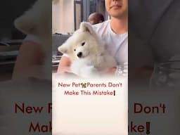 New Pet 🦮 Parents Don’t Make This Mistake❗️