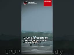 LPDP New Scheme. Will it Work?