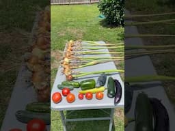 The Harvests Have Begun! 🍅🥒🧅🫑🌶️