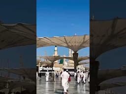 Roza e Rasool ❤️❤️