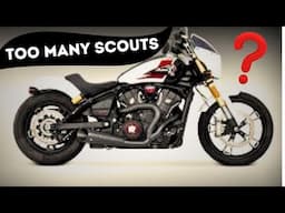 Why SO many SCOUTS?